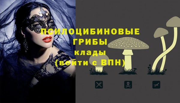 стаф Алексеевка