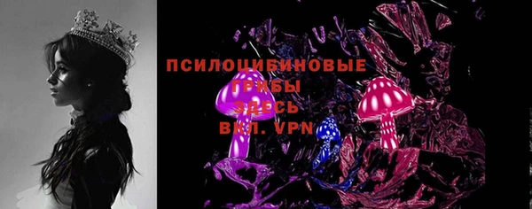 стаф Алексеевка
